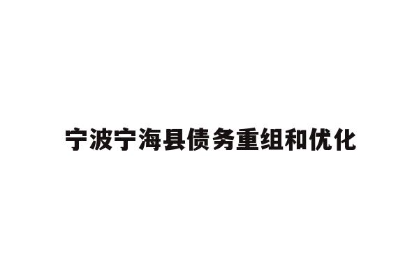 宁波宁海县债务重组和优化