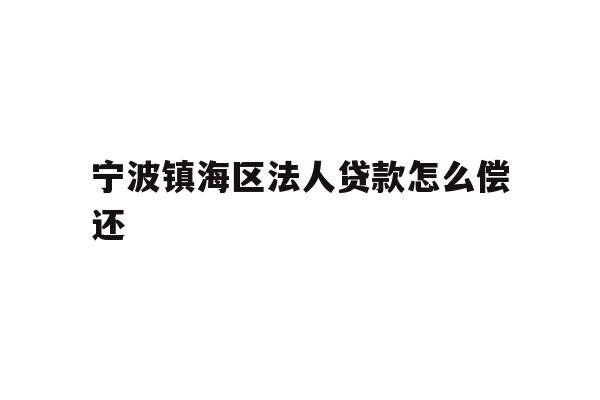 详细阅读:宁波镇海区法人贷款怎么偿还 宁波镇海区法人贷款怎么偿还