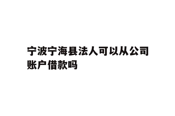 详细阅读:宁波宁海县法人可以从公司账户借款吗 宁波宁海县法人可以从公司账户借款吗