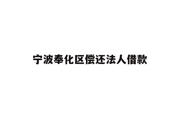 宁波奉化区偿还法人借款