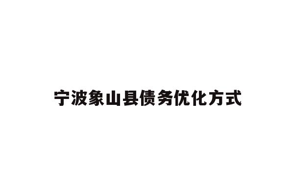 宁波象山县债务优化方式