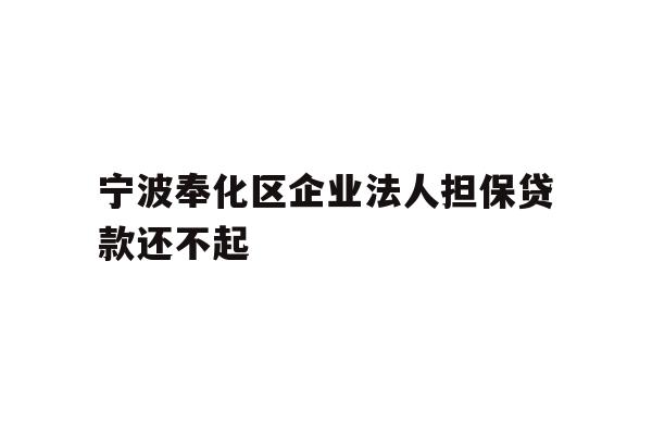 宁波奉化区企业法人担保贷款还不起