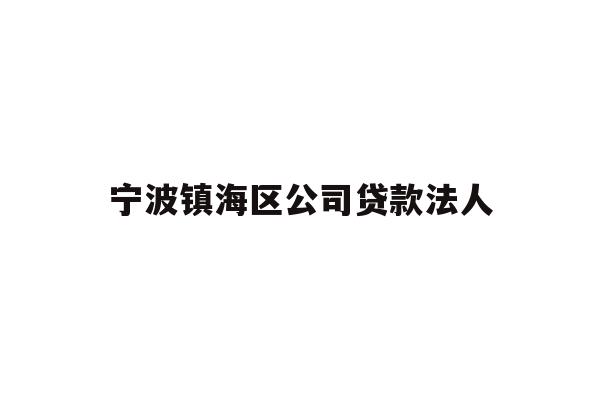 宁波镇海区公司贷款法人
