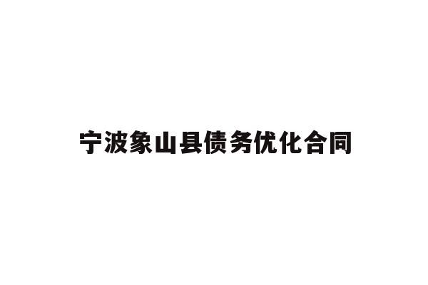 宁波象山县债务优化合同