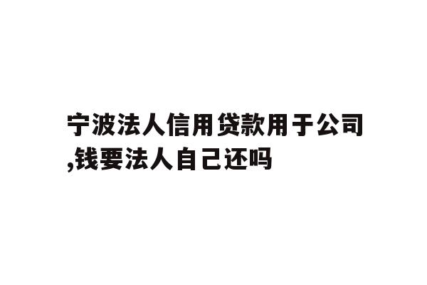 宁波法人信用贷款用于公司,钱要法人自己还吗