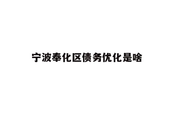 宁波奉化区债务优化是啥