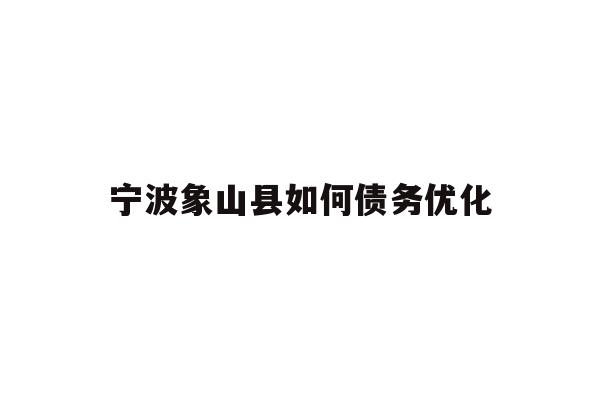 宁波象山县如何债务优化