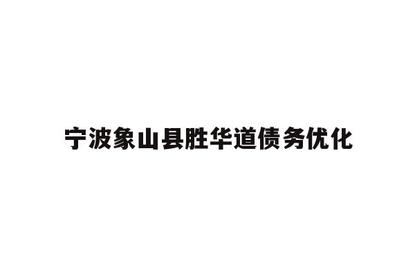 宁波象山县胜华道债务优化