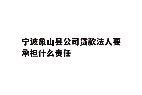 宁波象山县公司贷款法人要承担什么责任