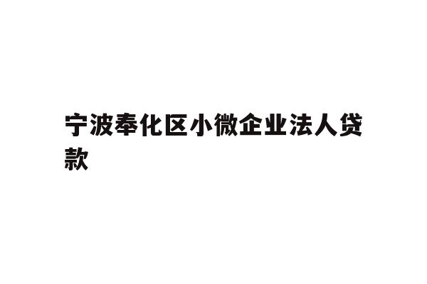 宁波奉化区小微企业法人贷款