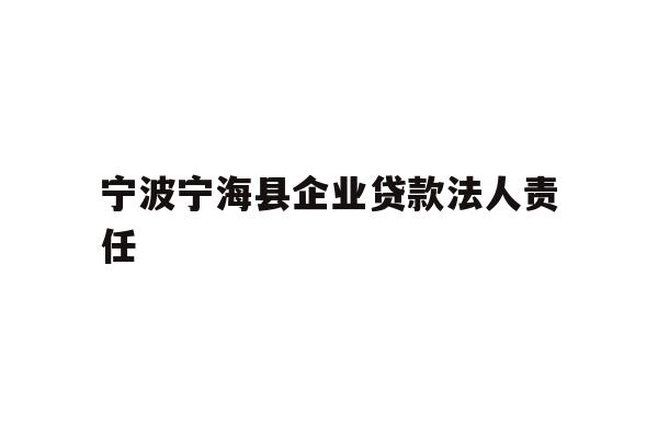 宁波宁海县企业贷款法人责任
