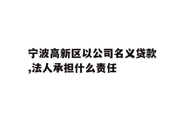 宁波高新区以公司名义贷款,法人承担什么责任