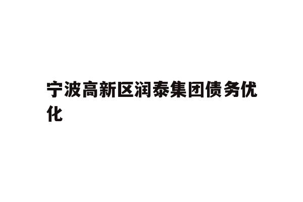 宁波高新区润泰集团债务优化
