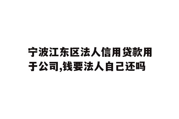 宁波江东区法人信用贷款用于公司,钱要法人自己还吗