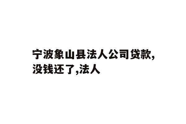宁波象山县法人公司贷款,没钱还了,法人