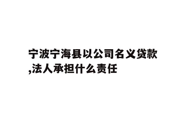 宁波宁海县以公司名义贷款,法人承担什么责任