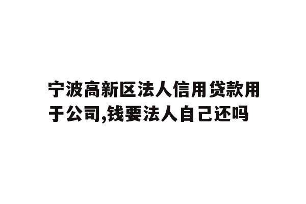 宁波高新区法人信用贷款用于公司,钱要法人自己还吗