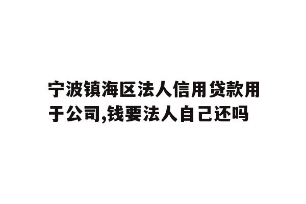 宁波镇海区法人信用贷款用于公司,钱要法人自己还吗