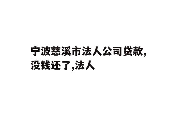 宁波慈溪市法人公司贷款,没钱还了,法人