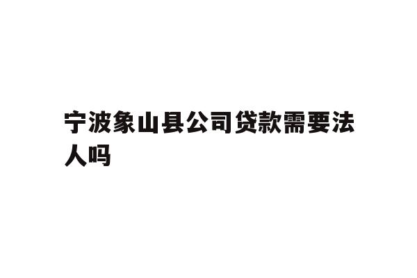 宁波象山县公司贷款需要法人吗