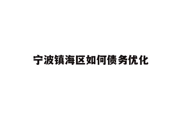 宁波镇海区如何债务优化