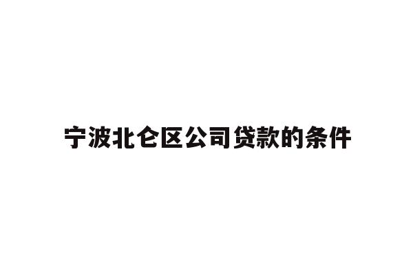 宁波北仑区公司贷款的条件