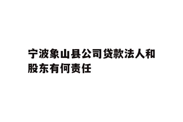 宁波象山县公司贷款法人和股东有何责任