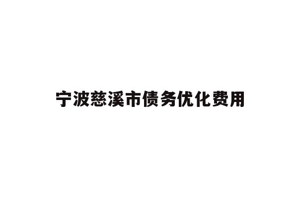 宁波慈溪市债务优化费用