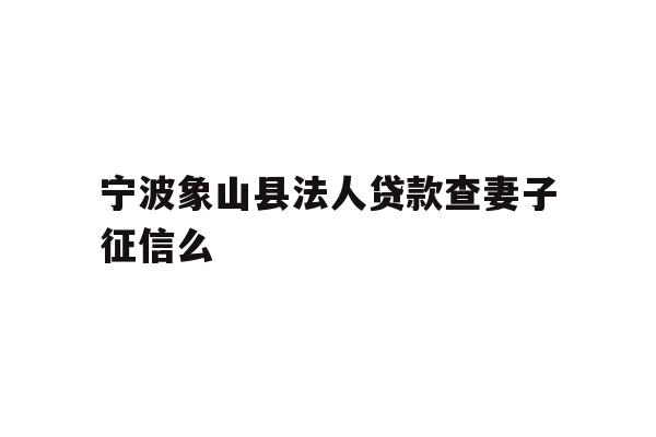 宁波象山县法人贷款查妻子征信么