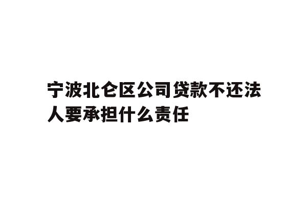 宁波北仑区公司贷款不还法人要承担什么责任