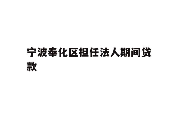 宁波奉化区担任法人期间贷款