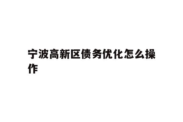宁波高新区债务优化怎么操作