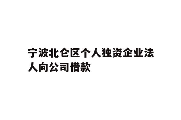 宁波北仑区个人独资企业法人向公司借款