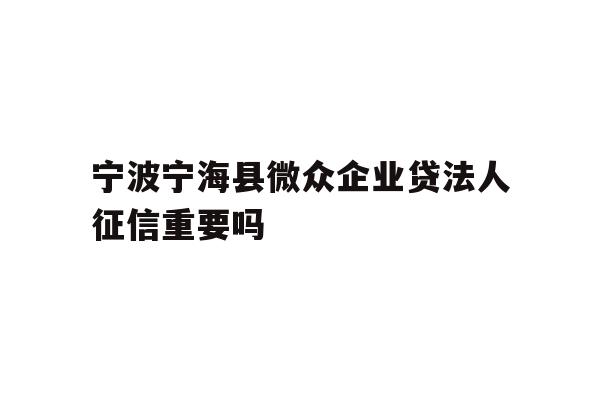 宁波宁海县微众企业贷法人征信重要吗