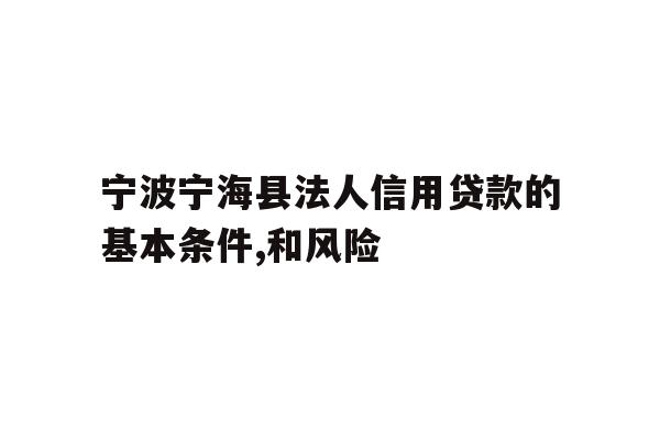 宁波宁海县法人信用贷款的基本条件,和风险
