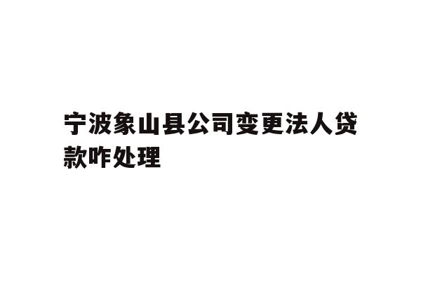 宁波象山县公司变更法人贷款咋处理