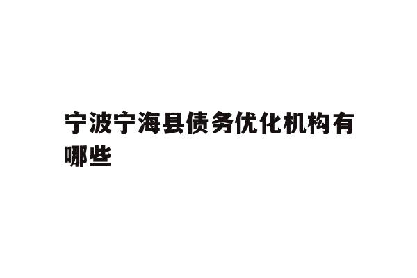 宁波宁海县债务优化机构有哪些