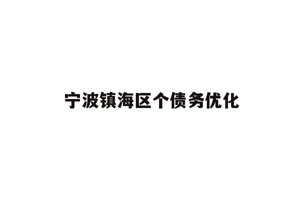 宁波镇海区个债务优化