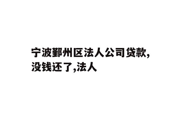 宁波鄞州区法人公司贷款,没钱还了,法人