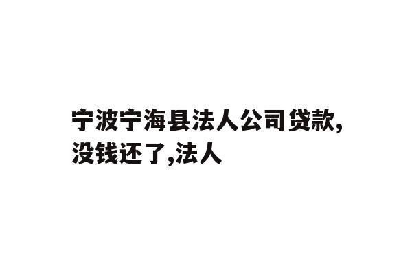宁波宁海县法人公司贷款,没钱还了,法人