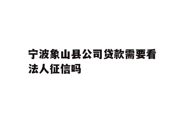 宁波象山县公司贷款需要看法人征信吗