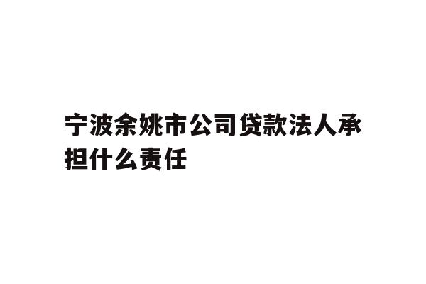 宁波余姚市公司贷款法人承担什么责任