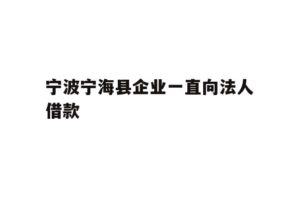 宁波宁海县企业一直向法人借款