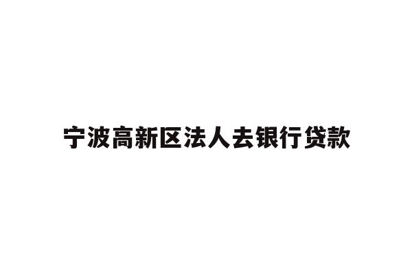 宁波高新区法人去银行贷款