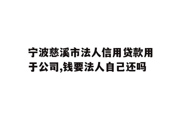 宁波慈溪市法人信用贷款用于公司,钱要法人自己还吗