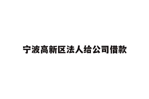 详细阅读:宁波高新区法人给公司借款 宁波高新区法人给公司借款