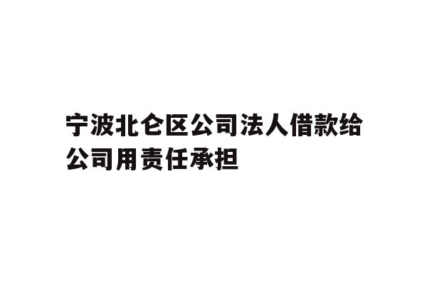 详细阅读:宁波北仑区公司法人借款给公司用责任承担 宁波北仑区公司法人借款给公司用责任承担