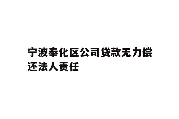 详细阅读:宁波奉化区公司贷款无力偿还法人责任 宁波奉化区公司贷款无力偿还法人责任