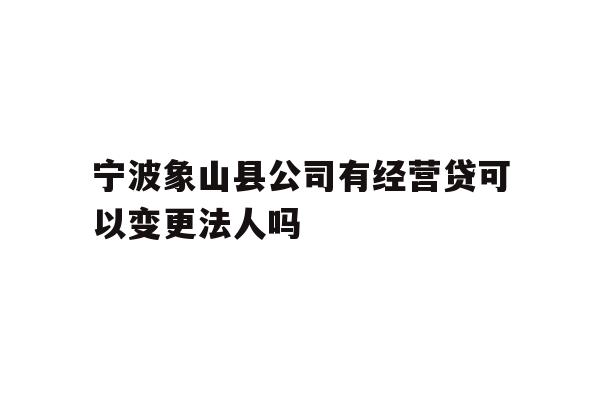宁波象山县公司有经营贷可以变更法人吗