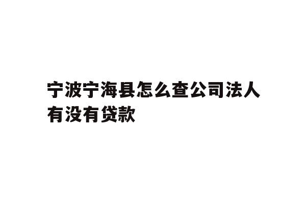 详细阅读:宁波宁海县怎么查公司法人有没有贷款 宁波宁海县怎么查公司法人有没有贷款